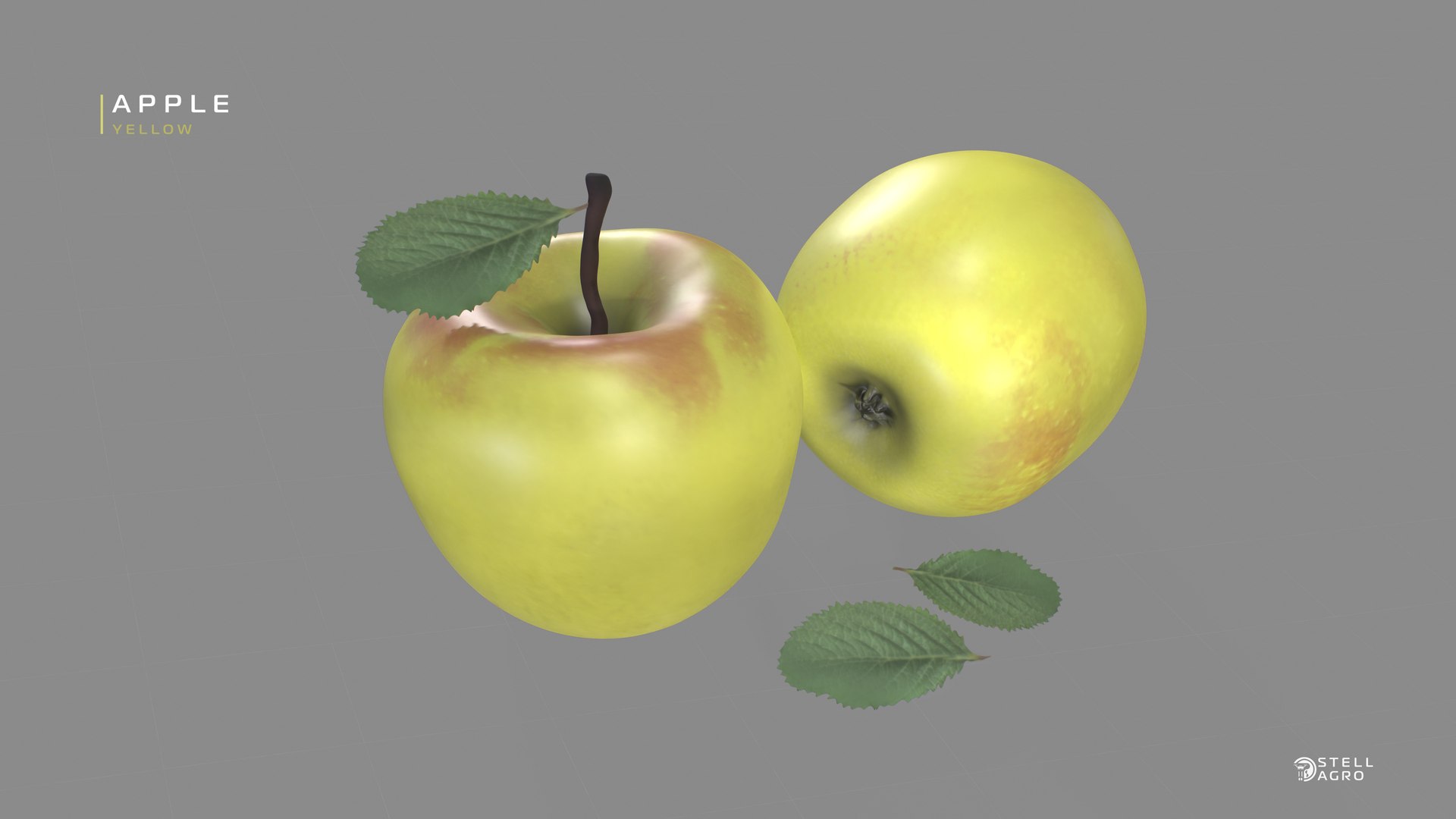 Apple Yellow Stell Agro 3D https://p.turbosquid.com/ts-thumb/fu/Ud4jyi/XU/3/jpg/1652756080/1920x1080/fit_q87/077f8e8d55a7e110358971297cda442cdc2ed8f8/3.jpg