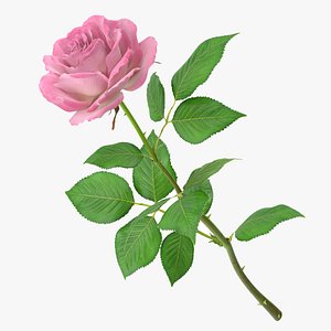 rose modeled leaf obj