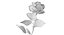 Pink Rose