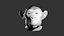 Tête de singe