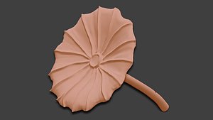 3D Lotus Leaf 3D