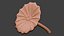 3D Lotus Leaf 3D