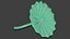 3D Lotus Leaf 3D