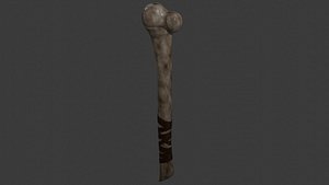 Bone mace