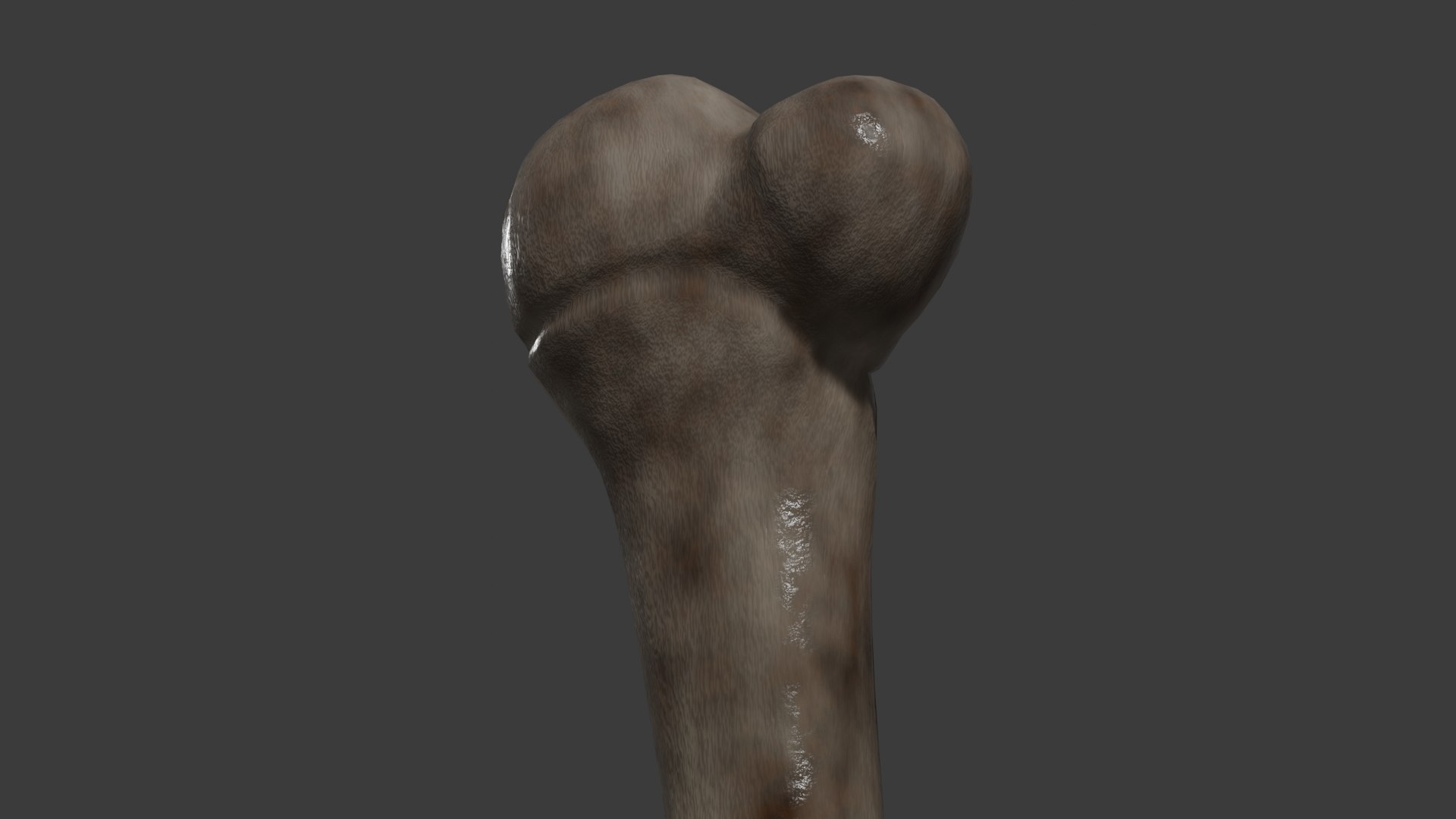 Bone mace model https://p.turbosquid.com/ts-thumb/fu/hg53JG/iE/s5/png/1725832863/1920x1080/fit_q87/55a30c0f8530f2dadca58c67c2f5c30bef82ecf1/s5.jpg