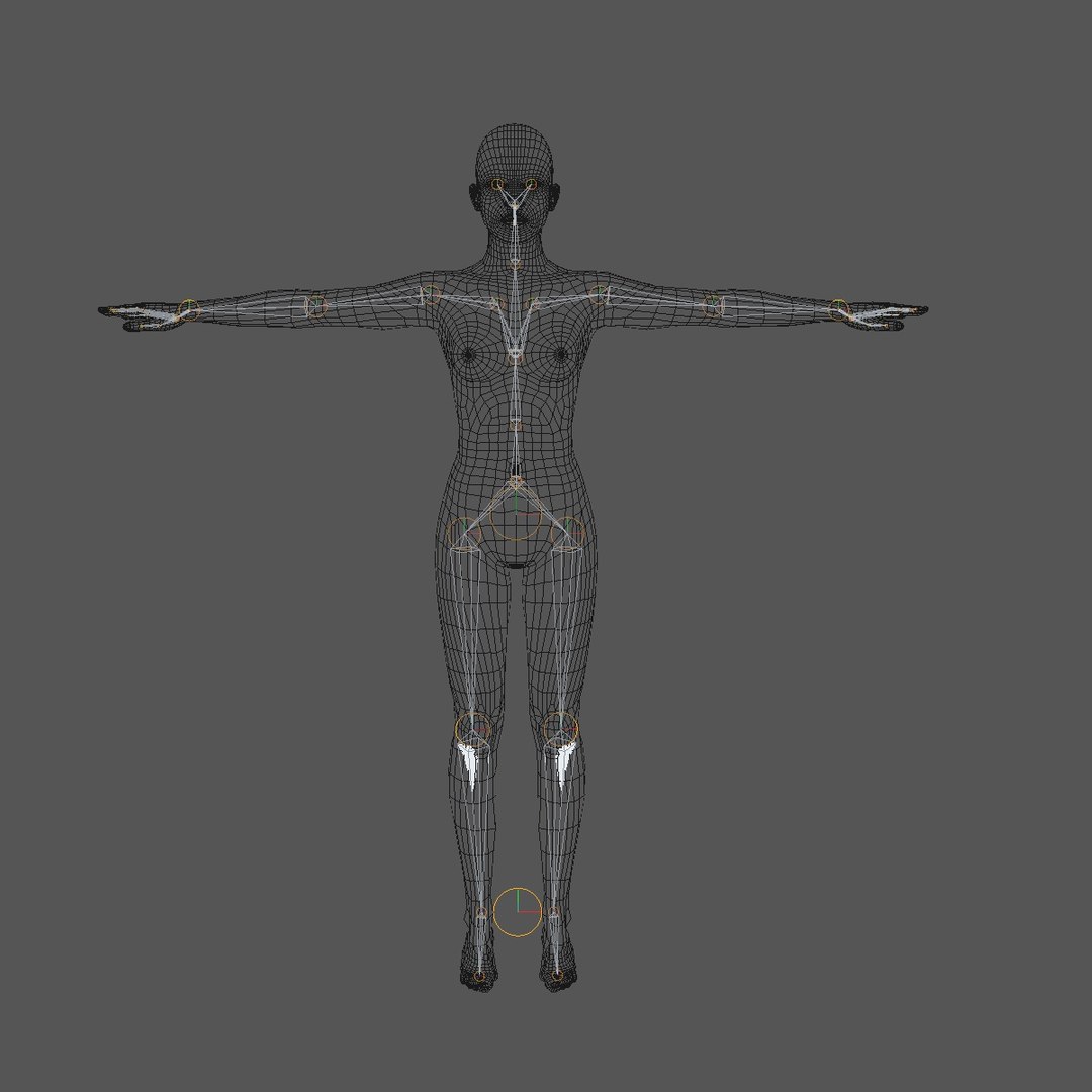 Female Character 3d Model