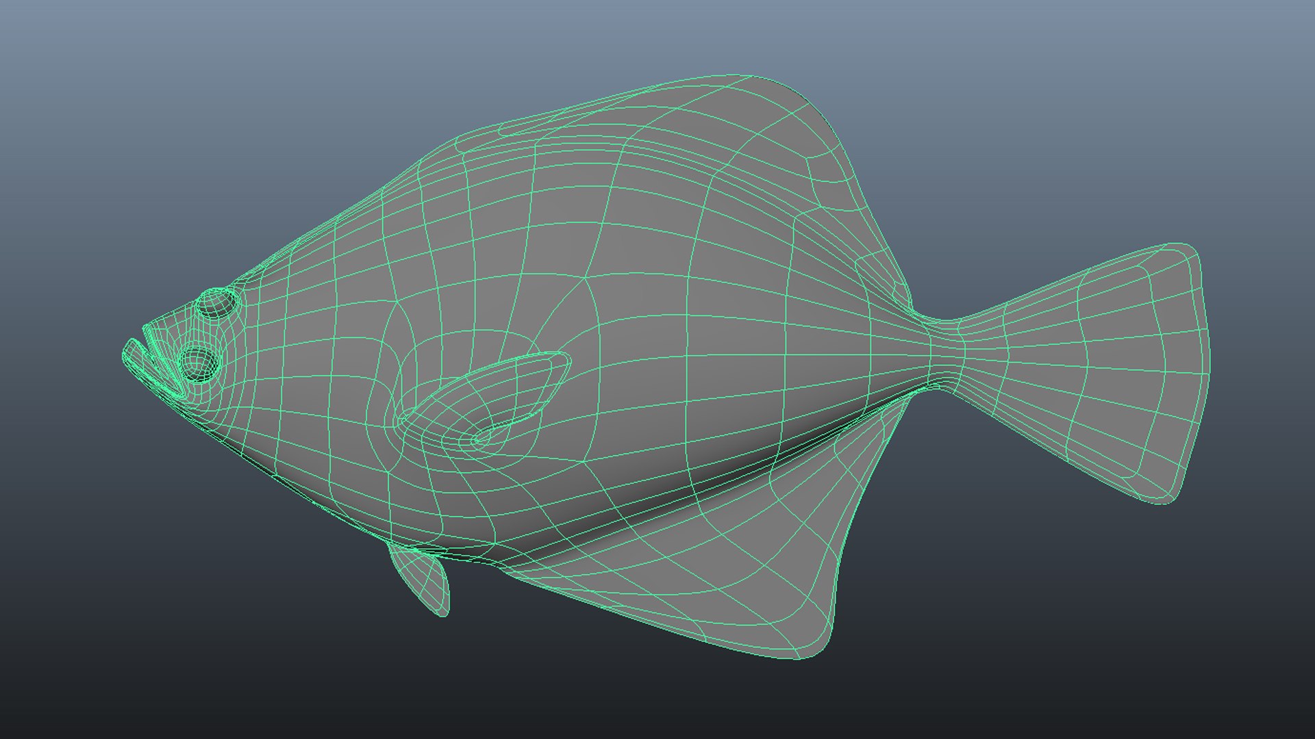Flat Fish Collection Model - TurboSquid 1813099