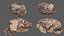 desert rocks