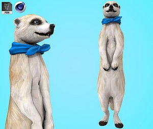 meerkat 3D