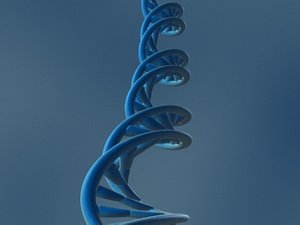 DNA