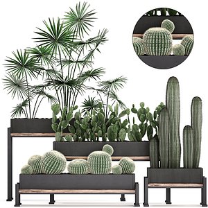 exotic plants 3D model