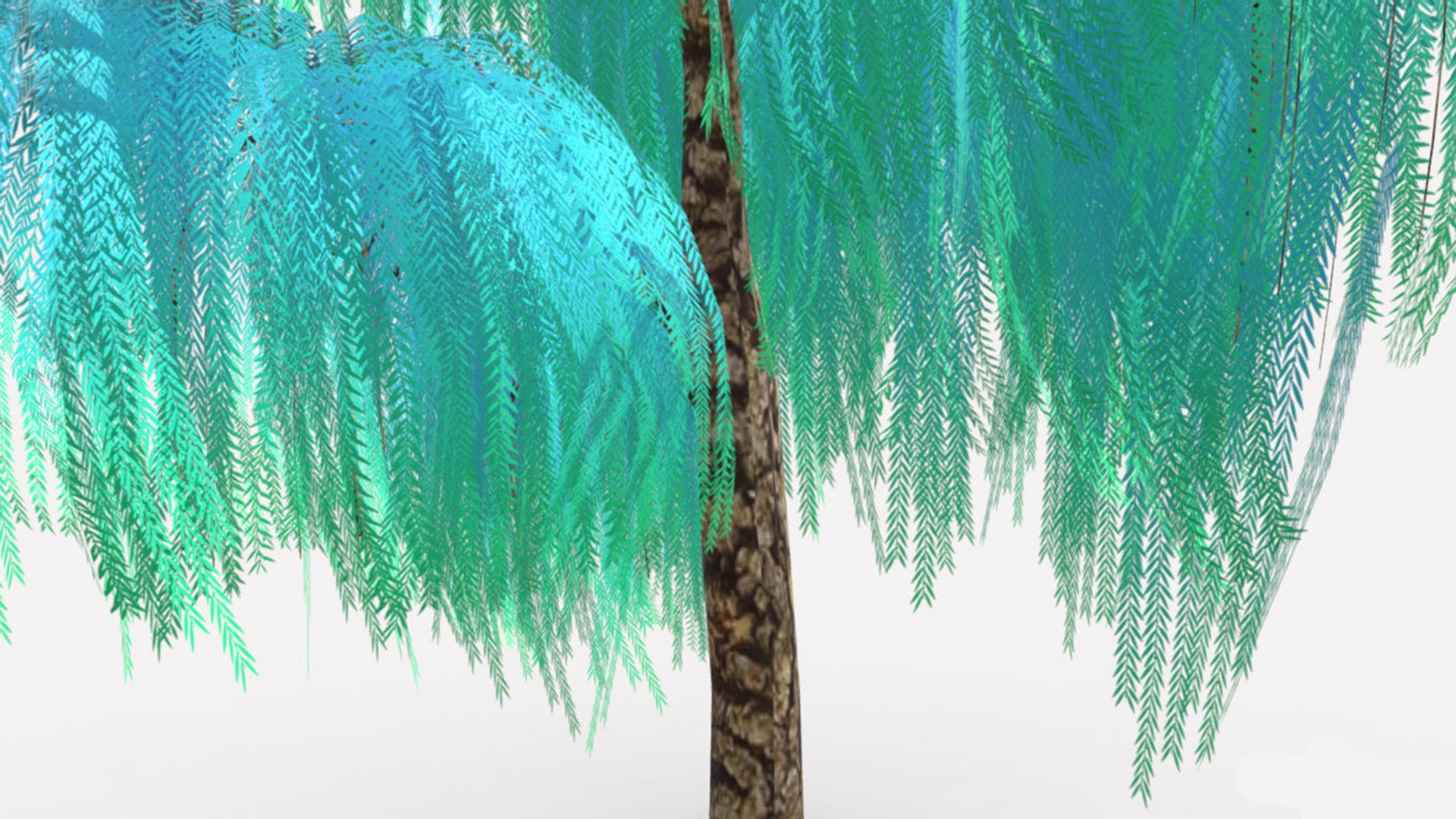 3D Model Weeping Tree Coloe Sky - TurboSquid 2244608