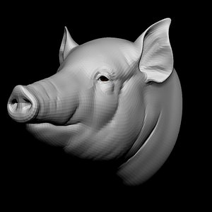 3D pig head base mesh