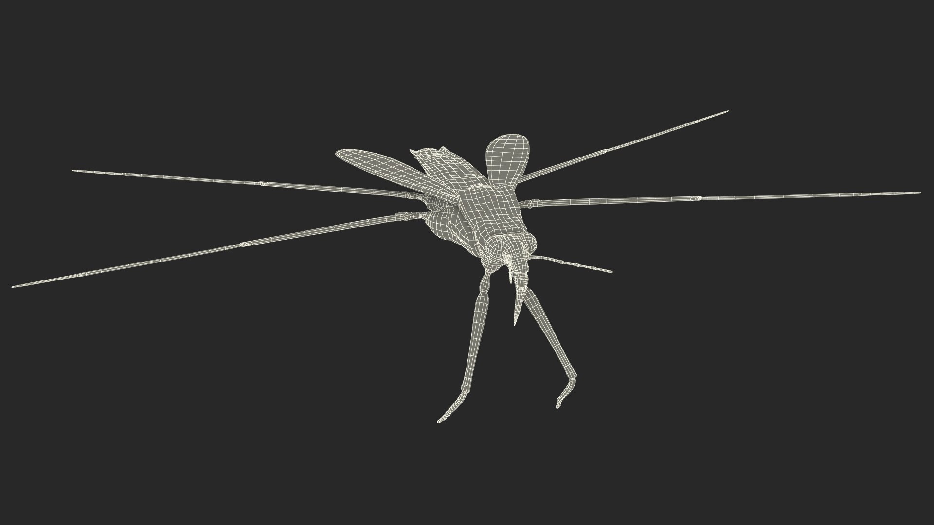 3D Water Strider Fur For Cinema 4D - TurboSquid 2288192
