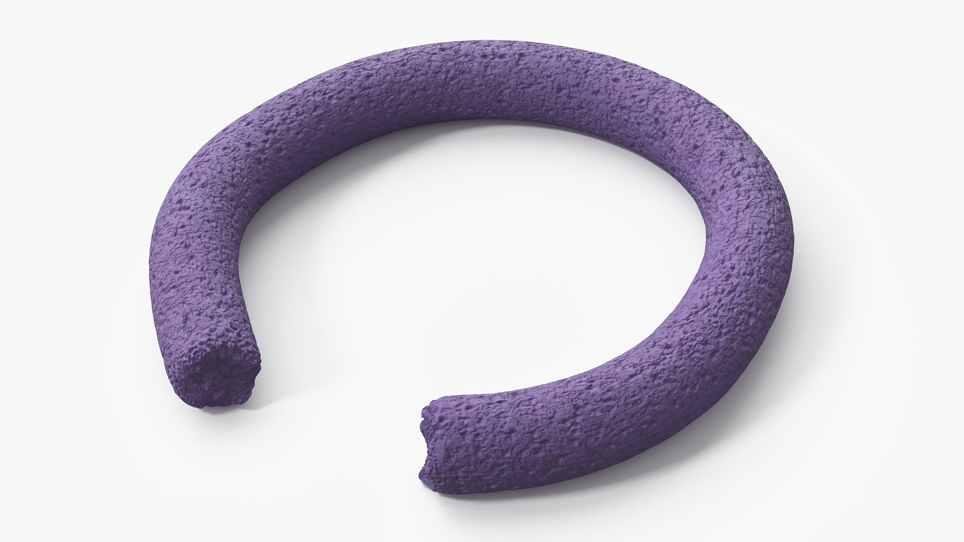 Puller Active Dogs Toy Torn 3D model preview