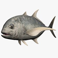 Trevally