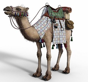 3D Camel With Package - Rigged