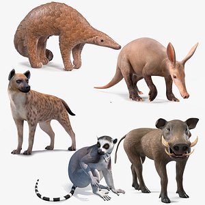 African Mammals Rigged for Maya Collection 2 3D model