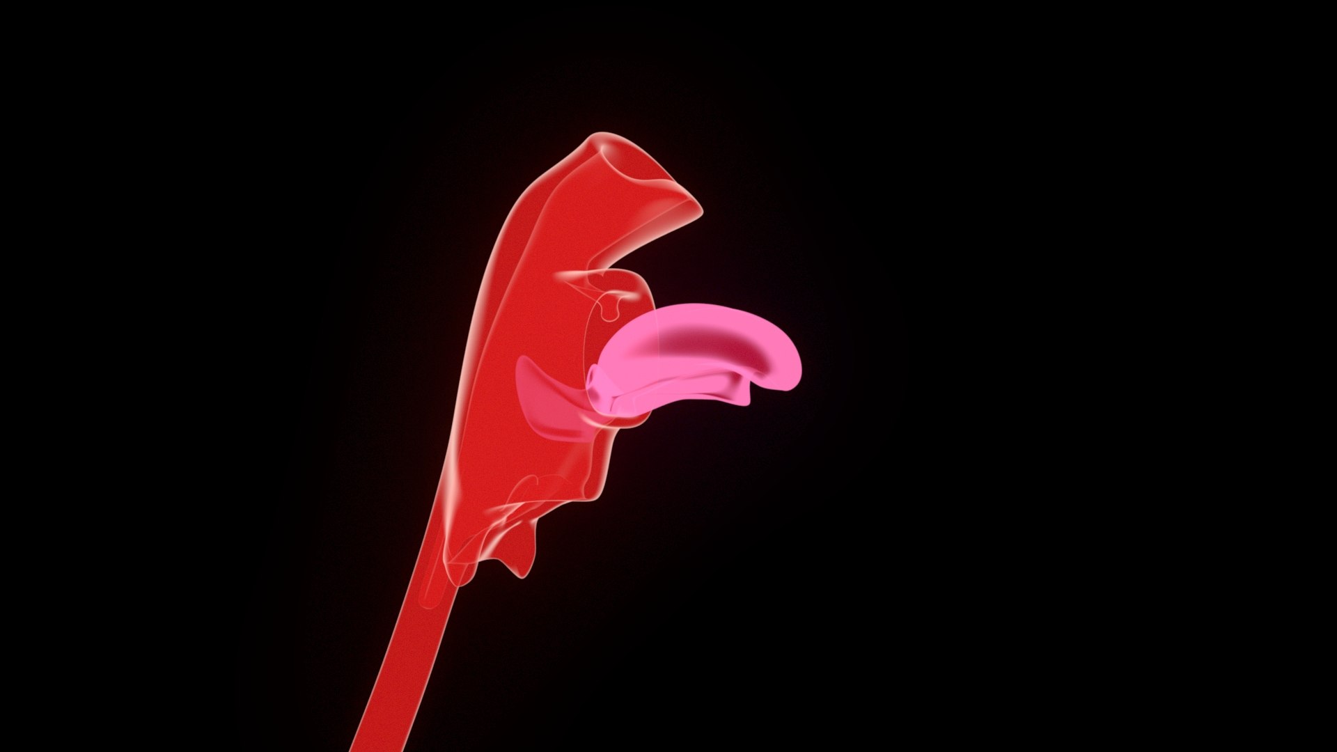 Digestive  model https://p.turbosquid.com/ts-thumb/fv/hDwxuX/fh/4/jpg/1640848648/1920x1080/fit_q87/6acd077a9acafa637ab183d9b5542875ec3dc570/4.jpg