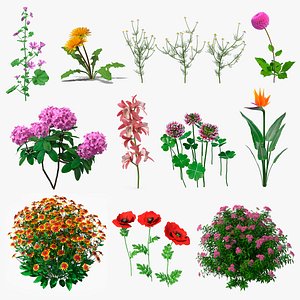 Flowering Plants Collection 7 3D model