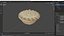 Mince Pie