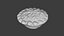 Mince Pie