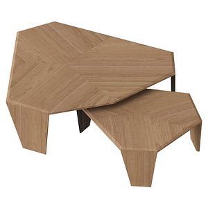 3D Tortuga Coffee Table
