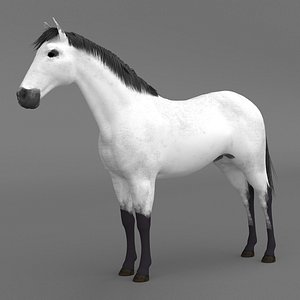 White Horse model