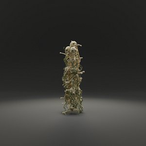 letter bones skeleton model