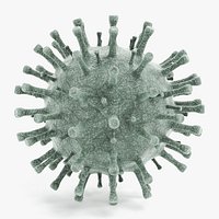 Coronavirus 2