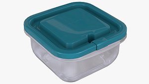 Lunch box 1 model