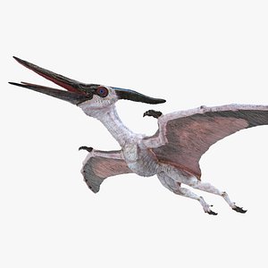 pteranodon pterosaur white rigged model
