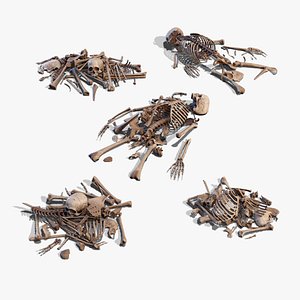 3D model Human Bones Pile small