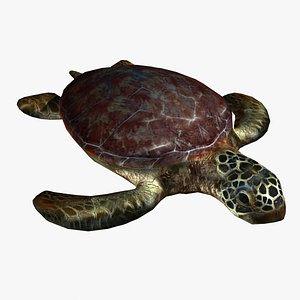 turtle sea 3d max