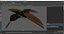 rigged birds 2 3D model