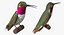 rigged birds 2 3D model