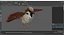 rigged birds 2 3D model