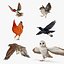 rigged birds 2 3D model