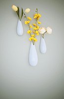 flowers and vases
