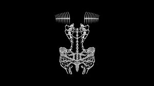 Bone Armour 3D model