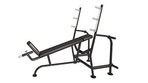Olympic Incline Bench 3D