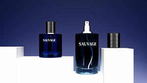 3D Sauvage Perfume Bottle 3D