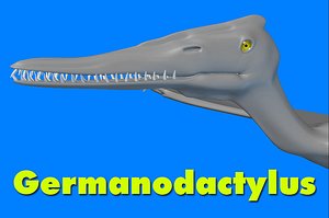 germanodactylus dinosaur 3d model