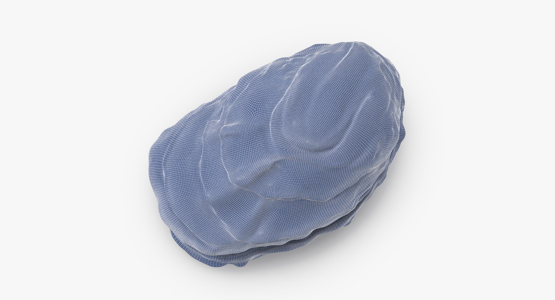oyster shell 03 3d model https://p.turbosquid.com/ts-thumb/fx/PrZtTd/KmplqWDg/oyster_shell_03_wireframe_0007/jpg/1493101420/1920x1080/fit_q87/a893456ab495187f6e2a0eb024e1bac10ce4c1fc/oyster_shell_03_wireframe_0007.jpg