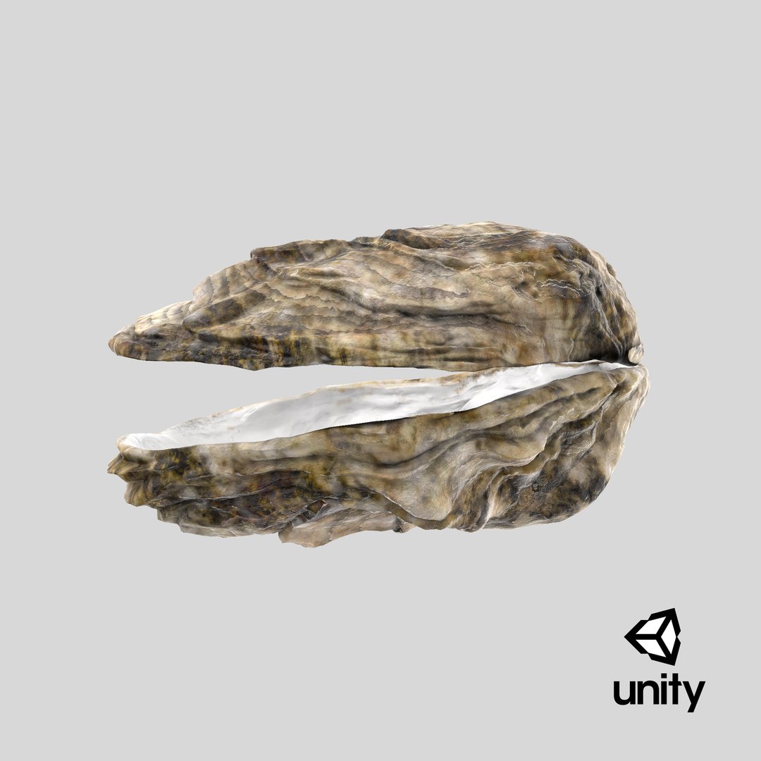 oyster shell 03 3d model https://p.turbosquid.com/ts-thumb/fx/PrZtTd/WNuzqTib/unity_capture/png/1522119000/1920x1080/fit_q87/9f7f963cd9827401f8f770a4810695a252053d6f/unity_capture.jpg