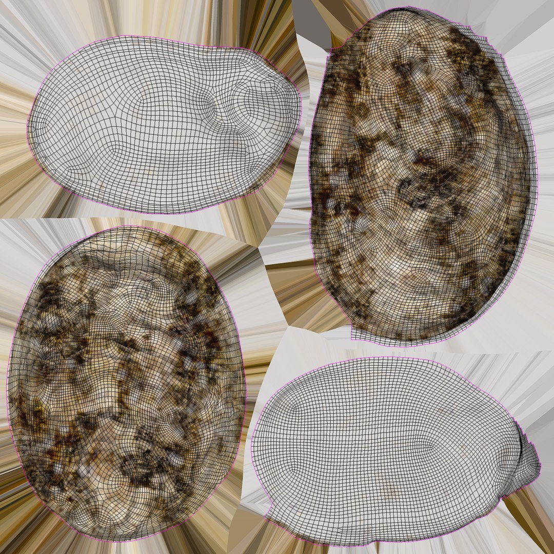 oyster shell 03 3d model https://p.turbosquid.com/ts-thumb/fx/PrZtTd/XKGnS2cZ/oyster_shell_03_uv/jpg/1487580876/1920x1080/fit_q87/b2511043a352b7c39d9fa4f99c1dd97c2c139321/oyster_shell_03_uv.jpg
