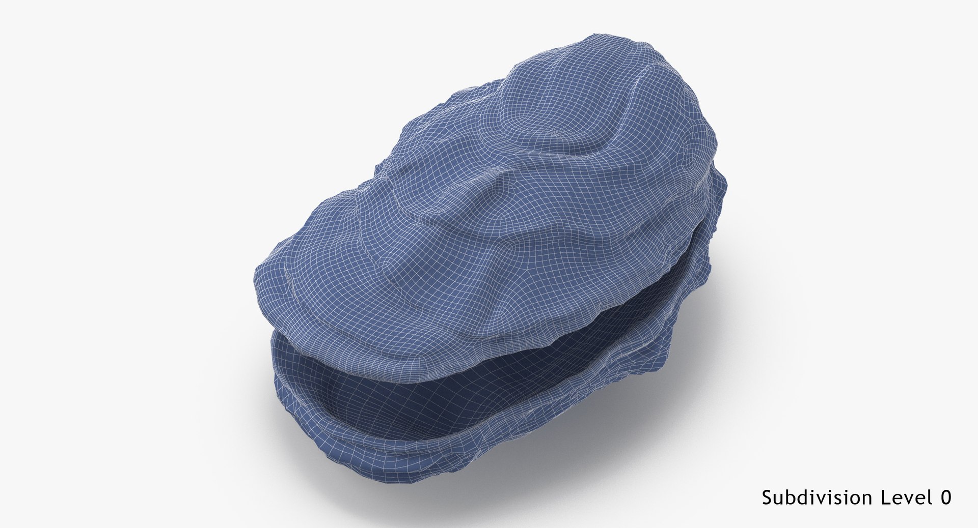 oyster shell 03 3d model https://p.turbosquid.com/ts-thumb/fx/PrZtTd/gAB5Mnx0/oyster_shell_03_wireframe_subdiv0/jpg/1487580876/1920x1080/fit_q87/fbf414300d764fd707168690b546e00c36212a2a/oyster_shell_03_wireframe_subdiv0.jpg