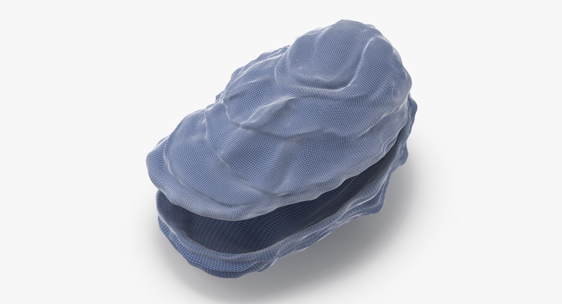oyster shell 03 3d model https://p.turbosquid.com/ts-thumb/fx/PrZtTd/pyodqMrr/oyster_shell_03_wireframe_0001/jpg/1493101420/1920x1080/fit_q87/c48d1901d9c6686b8c27bb0770877f5c1480f065/oyster_shell_03_wireframe_0001.jpg