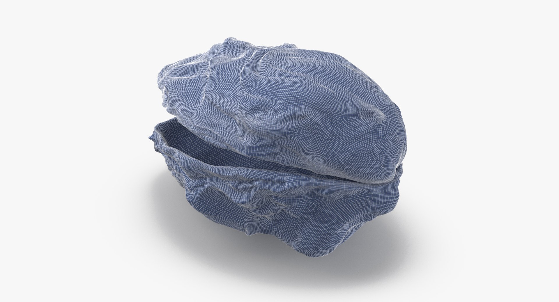 oyster shell 03 3d model https://p.turbosquid.com/ts-thumb/fx/PrZtTd/rX7x39rZ/oyster_shell_03_wireframe_0003/jpg/1493101420/1920x1080/fit_q87/ff7ff2ba06323a737daac882cc773e10a3d74630/oyster_shell_03_wireframe_0003.jpg