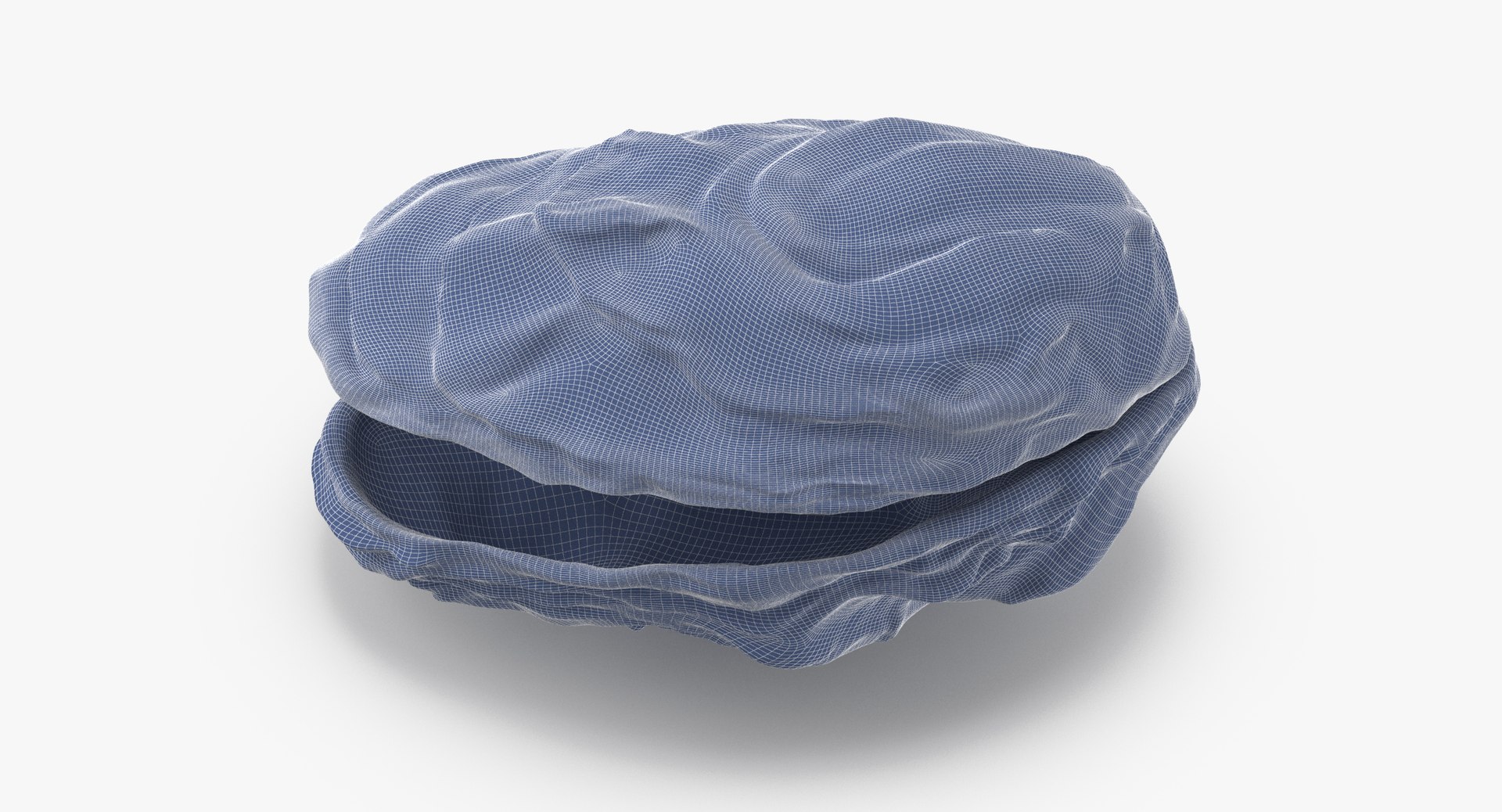 oyster shell 03 3d model https://p.turbosquid.com/ts-thumb/fx/PrZtTd/z5QeuOmL/oyster_shell_03_wireframe_0002/jpg/1493101420/1920x1080/fit_q87/242513b4bb06b2857e8671be070f8d2b30878317/oyster_shell_03_wireframe_0002.jpg